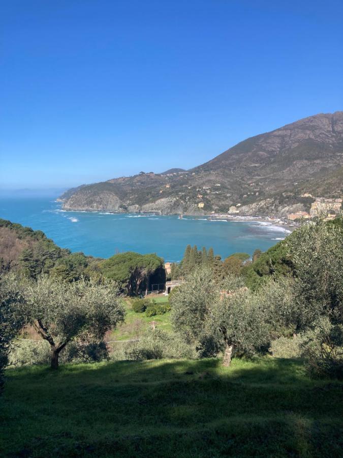 Nel Blu Dipinto Di Blu Apartment Levanto Exteriör bild